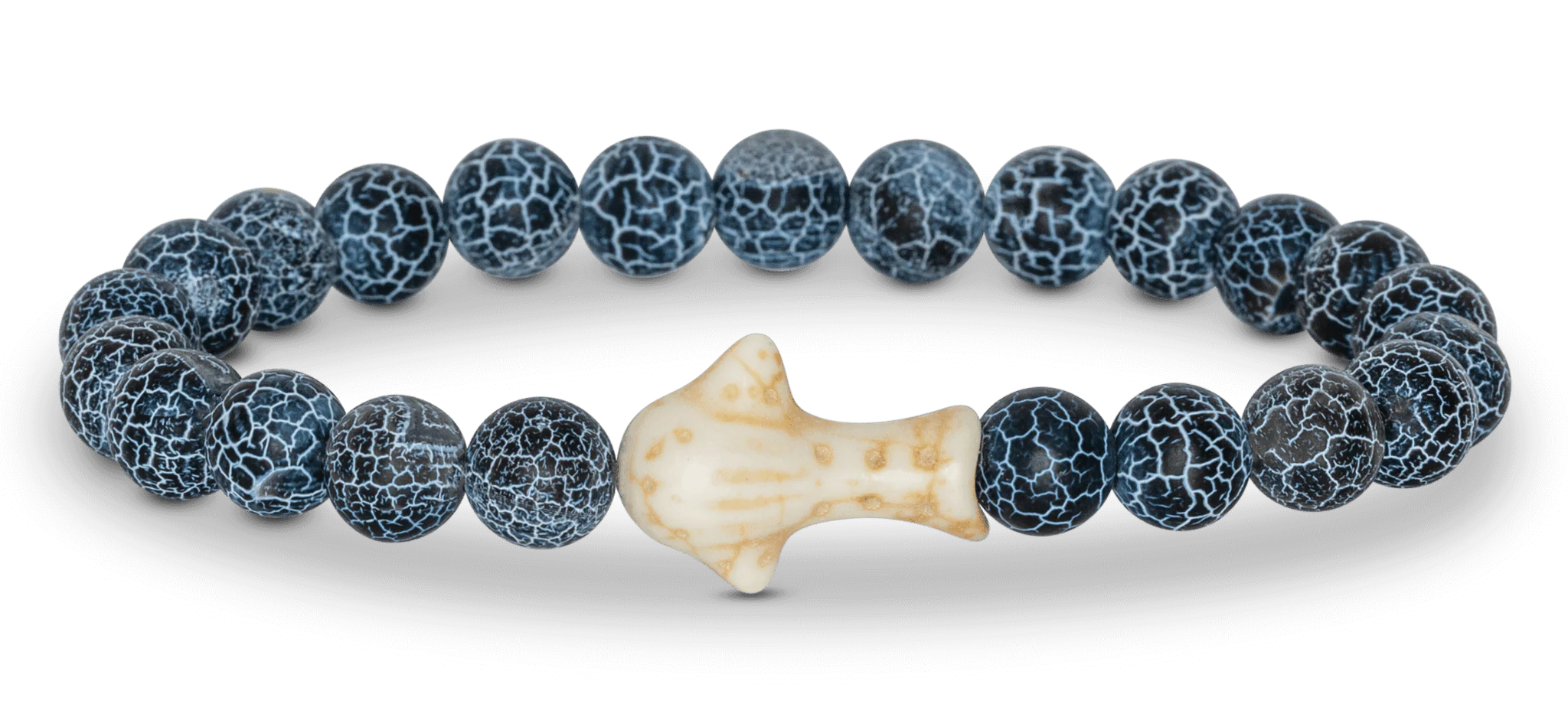 Ocean Animals